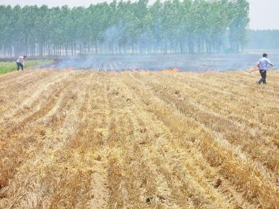 豫皖交界处麦茬起火 河南干群将火灭完才离开(图)