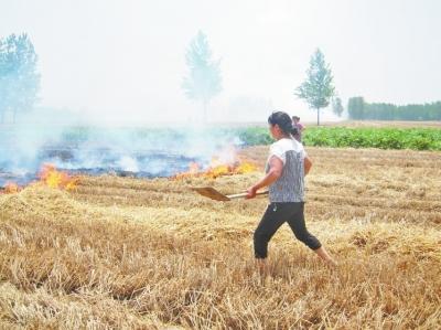豫皖交界处麦茬起火 河南干群将火灭完才离开(图)