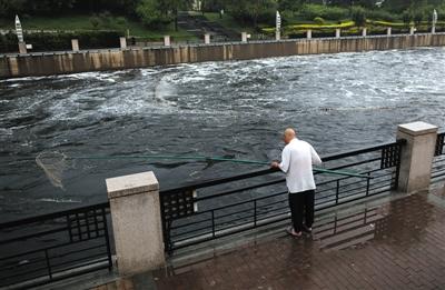 近日,有市民反映,庆丰公园附近的通惠河河水被污染,群鱼浮出,有市民在