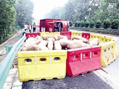 �����෭��50��ͷ�������й䡱��Ƹ�����Сʱ