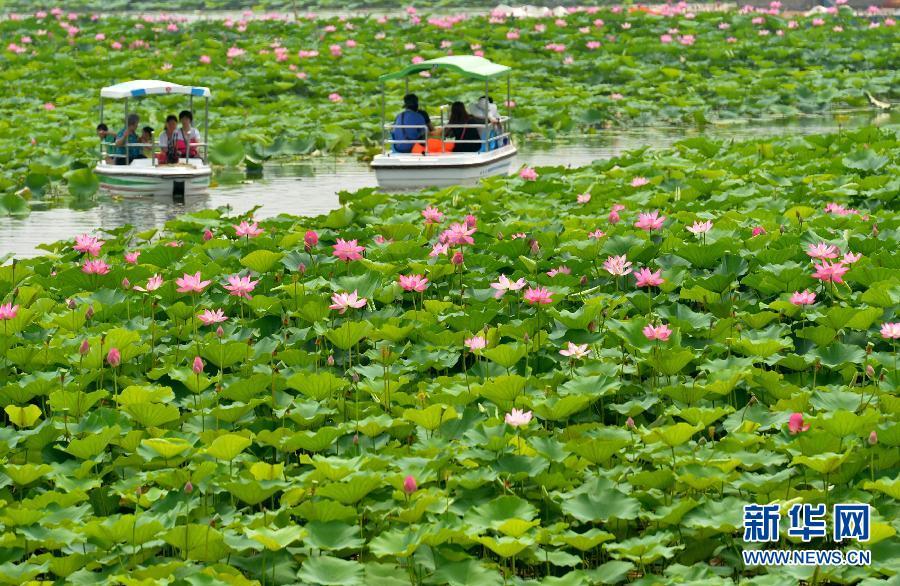 ����������2���������10����ͬ�����ˮλ