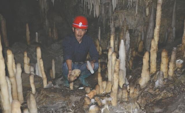 乐山黑竹沟溶洞钟乳石被盗采 100年只长1厘米(图)