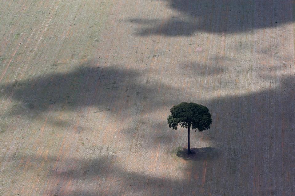 ��Ӱʦ12�꺽�Ĺ۲�����ѷ�ȴ������⿳������