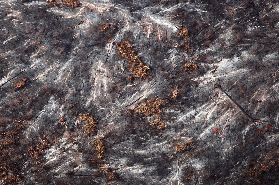 ��Ӱʦ12�꺽�Ĺ۲�����ѷ�ȴ������⿳������