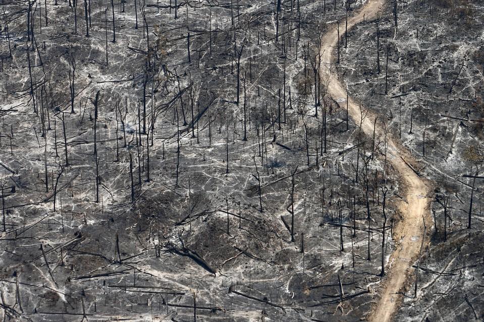 ��Ӱʦ12�꺽�Ĺ۲�����ѷ�ȴ������⿳������