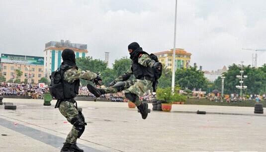 "恐怖分子"砍杀群众,特警出击.