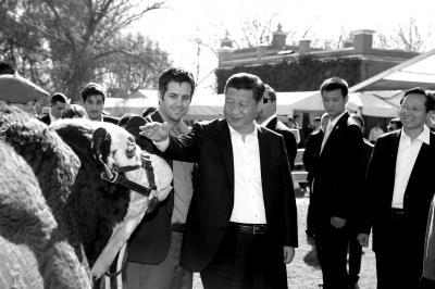 ϰ��ƽ��̸�����й������籭���ҵ�Ը��