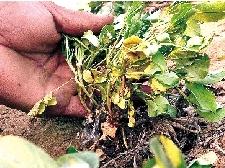 ��Ĳ��Ҧ����Ӻ�Ҵ�ߵĻ���������ɺ��Ѿ���ʼ��ή���ơ�