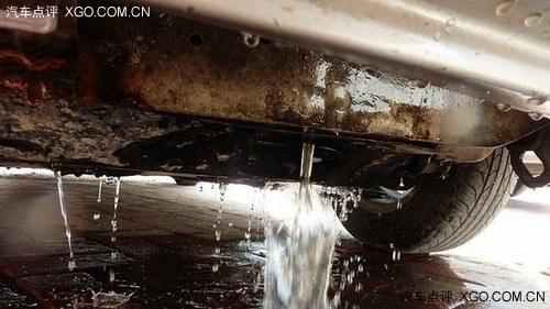 ���������ֲ� ����ˮ����ճ�����