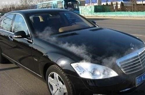 ���������ֲ� ����ˮ����ճ�����