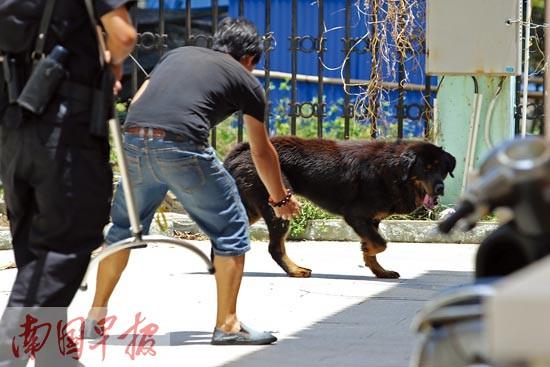 ����������С���������Ρ� �����ŵ��ĻŻ�(ͼ)