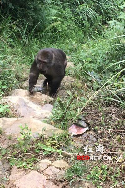 �����������������������糤ʤ��