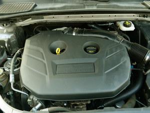 ���������ɵ�ŷ��ʤ ��ɫ��ȫ�ֳ���Ӧ