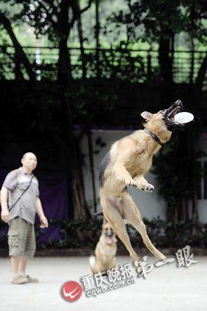 ������ѵ����սӷ���