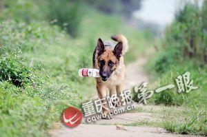 �ڱ���·�����ϼ��������ƿ