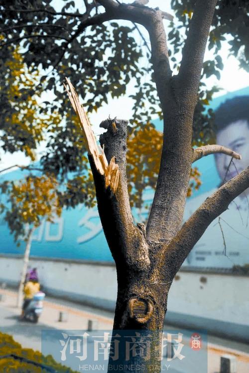 ֣��65���е���һҹ֮�䱻���� �����ڵ�������