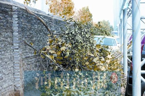 ֣��65���е���һҹ֮�䱻���� �����ڵ�������