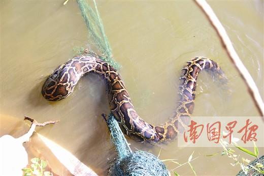 11���������ߴ�������͵Ѽ ����������������(ͼ)