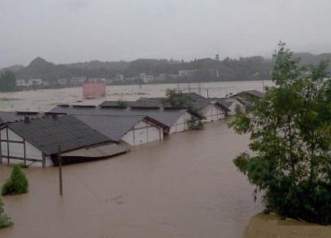 �Ĵ����������� ������11������