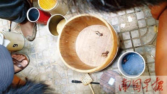 ��Ĳ�����С�� ����ɱ����ǹ�����ѵ�(��ͼ)