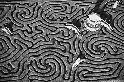 世界最长花园迷宫平均15小时方可找到出口图