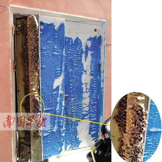 铁门?纸门!住宅楼防火门被风吹烂 铁皮内竟是纸壳