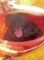 ������·վ��������С�� 