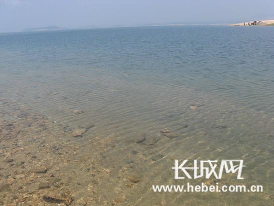 �ӱ�����8�µر�ˮ�ʽ�� ����ˮ������Ϊ�ж���Ⱦ