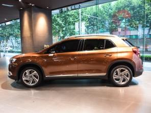 ����PSA2014��DS 6