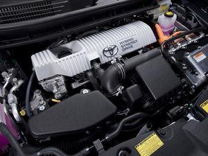 ������������˹����Ż�1.6�� �ֳ�����