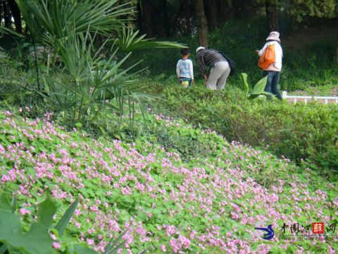 �Ͼ��Ϸʵȵذ��µ���δ�� �ж���19����ӭ����