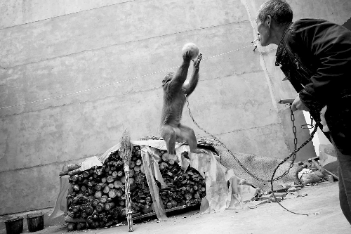 ��Ұ��Ϸ����ǰ��δ������ ˣ�����ˣ�ϣ������ĩ·