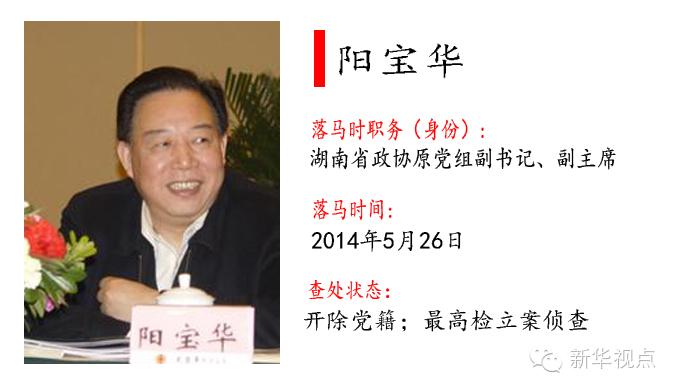 秘书长赵少麟南京市市长季建业内蒙古自治区党委常委,自治区政府副