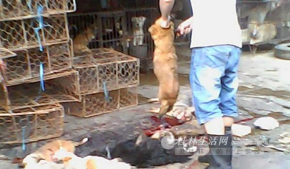 ������ÿ�������԰ټƹ������� ���׹���·����