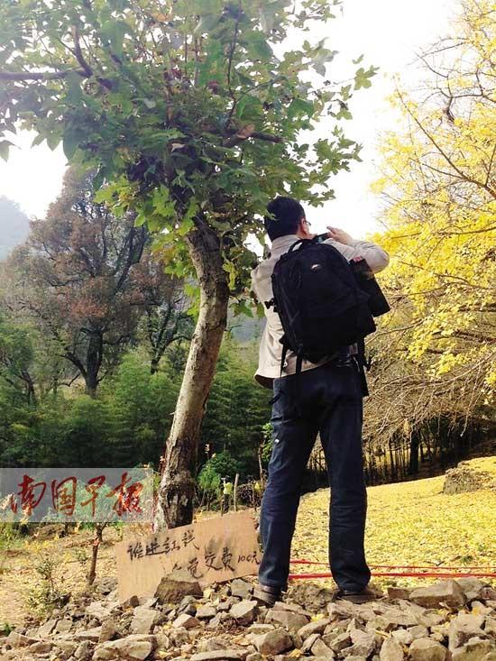 拍摄银杏树每分钟60元?村民声称犯了