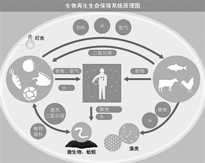 人造生物圈最后的诺亚方舟