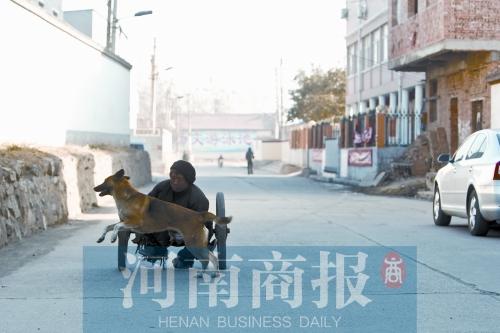 河南版忠犬八公推残疾主人摆摊 引热议老人收到捐助