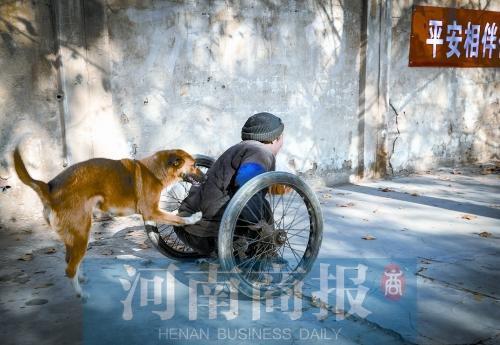 ���ϰ���Ȯ�˹��Ʋм����˰�̯ �����������յ�����