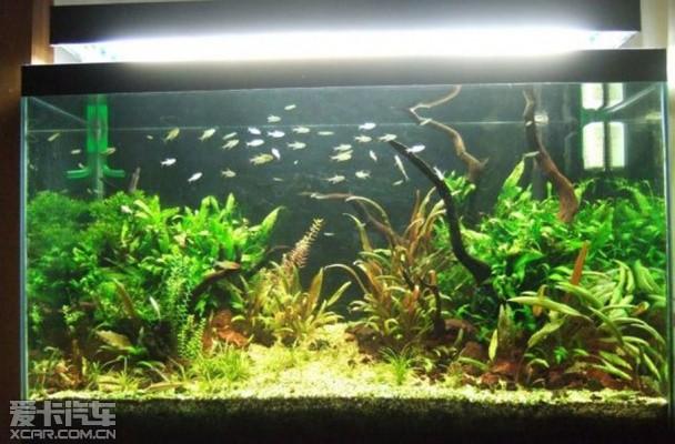 ʵ�ú��䳵��