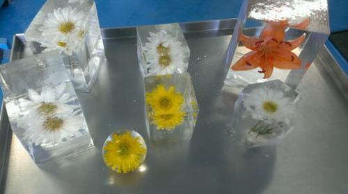 9����������ռ�β����Ϯ��