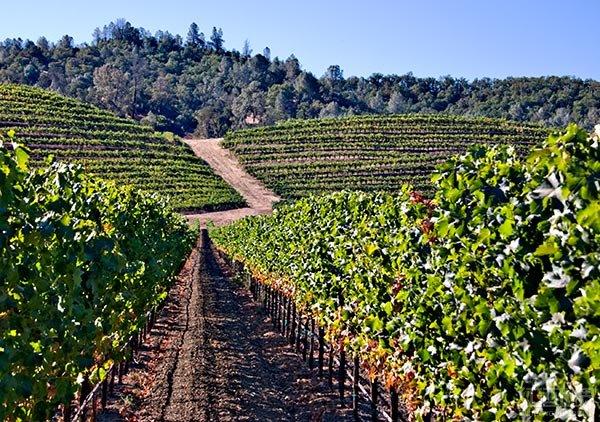 ��ˮ��ȱ�����ڳ�������ܹ�ʣ�����ݸ����Ӧ�ԣ�