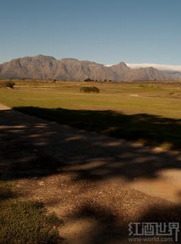 南非葡萄酒行业创造大量工作机会