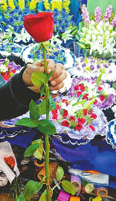 进口的玫瑰“高大上”济南 一枝玫瑰150元