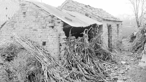 �ܿ�С̯���˳�������Ӥ 20��δ���ϰ峵����������