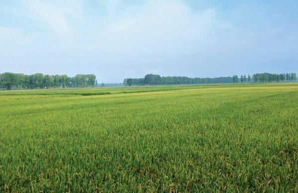 p74 �����ũ���μ�ظ�������