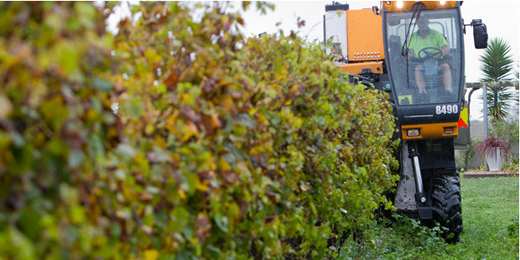 ���������ѾƳ��ڴ��¸�