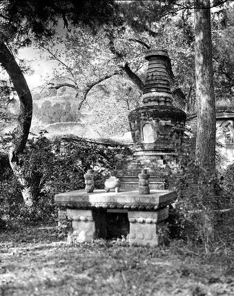 �����͵Ĺ�����ʯ����ͼƬ