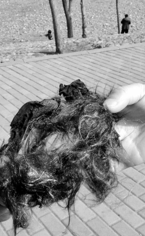 男子放风筝线缠住铁路高压线火车被逼停30分钟