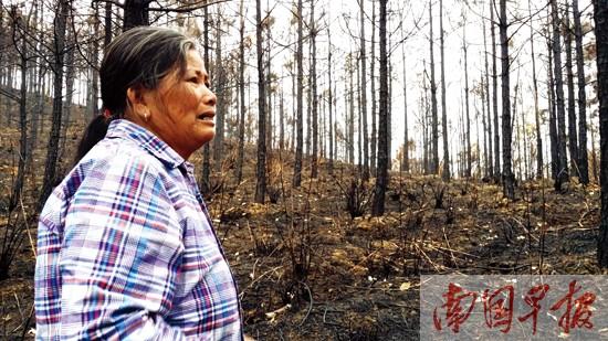 �˳��������ֽ�������������ɽ�� ������˭��