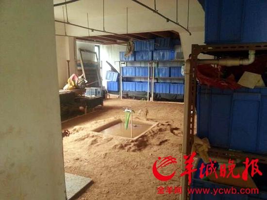 �����Ѿ��ı���ԭ���Ľṹ������ǽ���Ѿ�������������˶�����ܣ����ٸ���ɫ������������档���������������ΰ��(����ҵ����Ƶ)